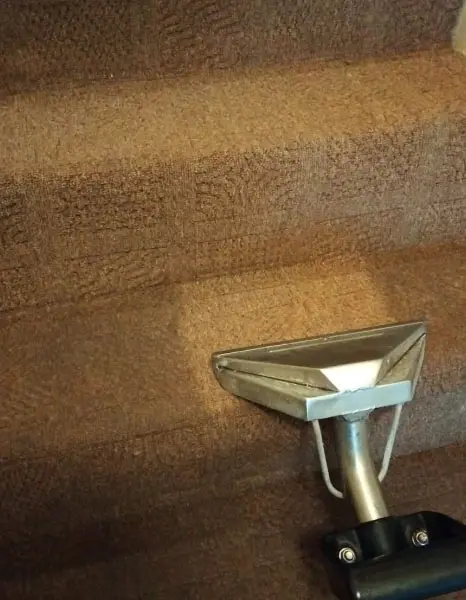 Stars carpet cleaning in hove